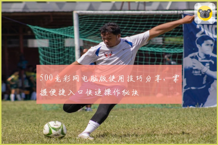 500竞彩网电脑版使用技巧分享，掌握便捷入口快速操作秘诀