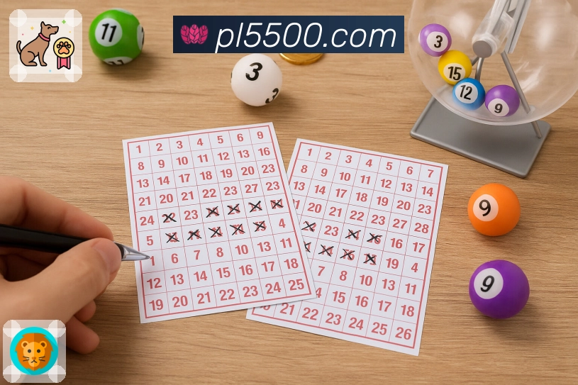 升级后的500彩票网官方APP，加载更快响应更准